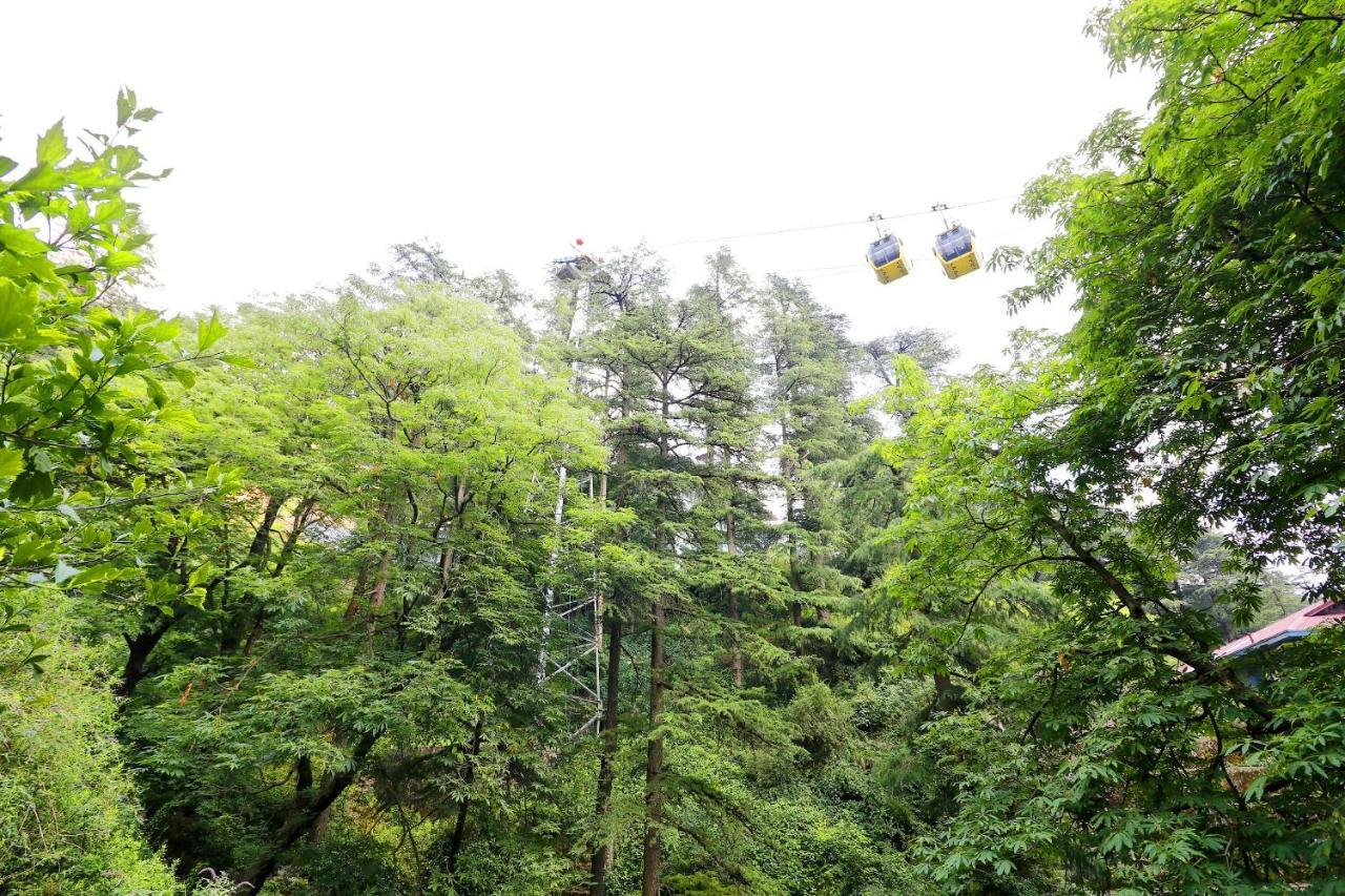 Oyo 45337 Hotel Woodland Shimla Dış mekan fotoğraf